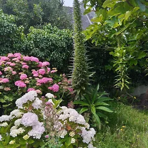 Maison Avec Jardin Proche Penmarcʼh